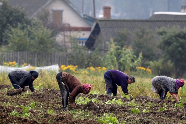 Какие предметы нельзя смывать в унитаз