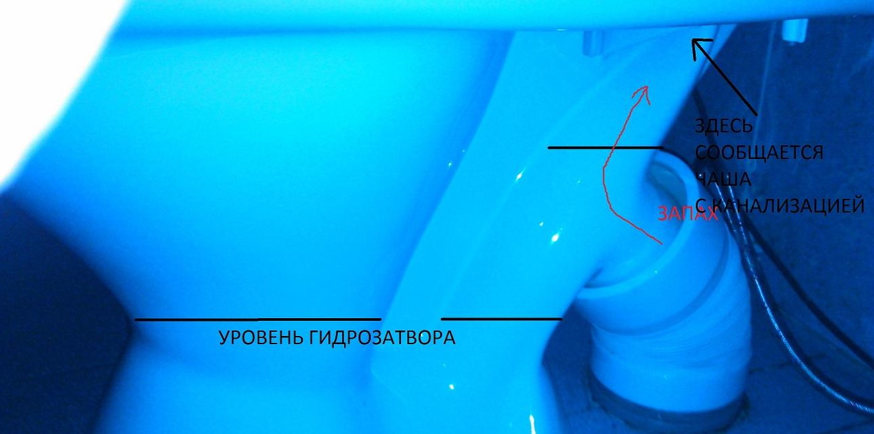 Некоторые конструктивные особенности унитаза могут способствовать проникновению запахов в дом