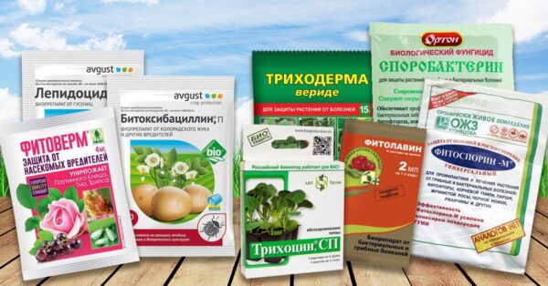 Инсектицидные средства